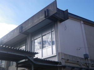 IMGP4506
