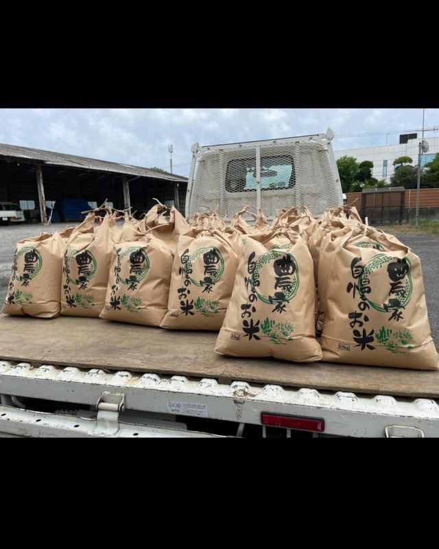 【多古米コシヒカリ】

お米の旬な季節がやってきました！

今年も美味しそうな多古米がたくさん取れました🍚
道の駅にもたくさん置いてありましたので
みなさん、ぜひ多古町へお越しください🚙

本日は台風の影響で悪天候となっていますが
事故や災害には十分気をつけましょう⚠️

鎌形建設アカウントはこちら
@kamagatakk 

24年度卒業生もまだ受け付けています。
鎌形ホームページにお問い合わせください！

ユーミー事業部　髙橋

#鎌形建設
#建設会社
#多古町
#多古米
#コシヒカリ
#道の駅多古
#24卒就活
#24卒